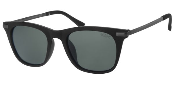 POL2011 - Image 2
