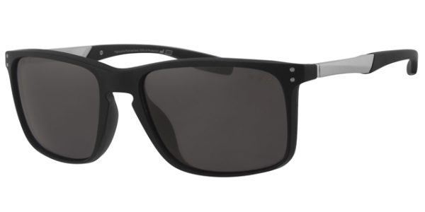 POL2012 - Image 2