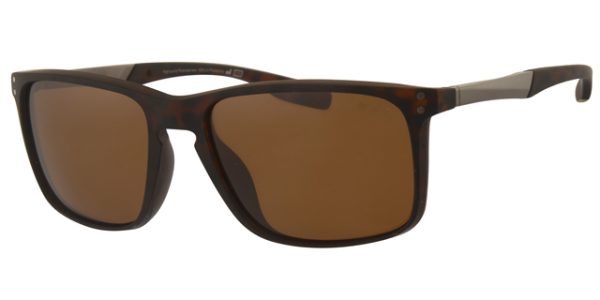 POL2012 - Image 3